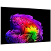 LG OLED83G68LW