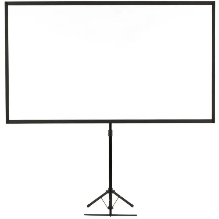 Epson ELPSC21 Screen