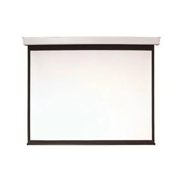 Motorized ceiling screen 2E 4:3, 200"