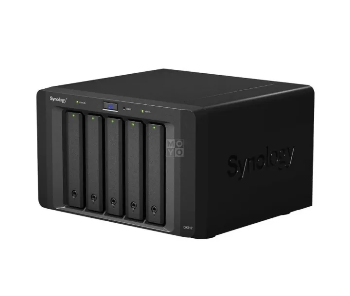 Network storage Synology DX517