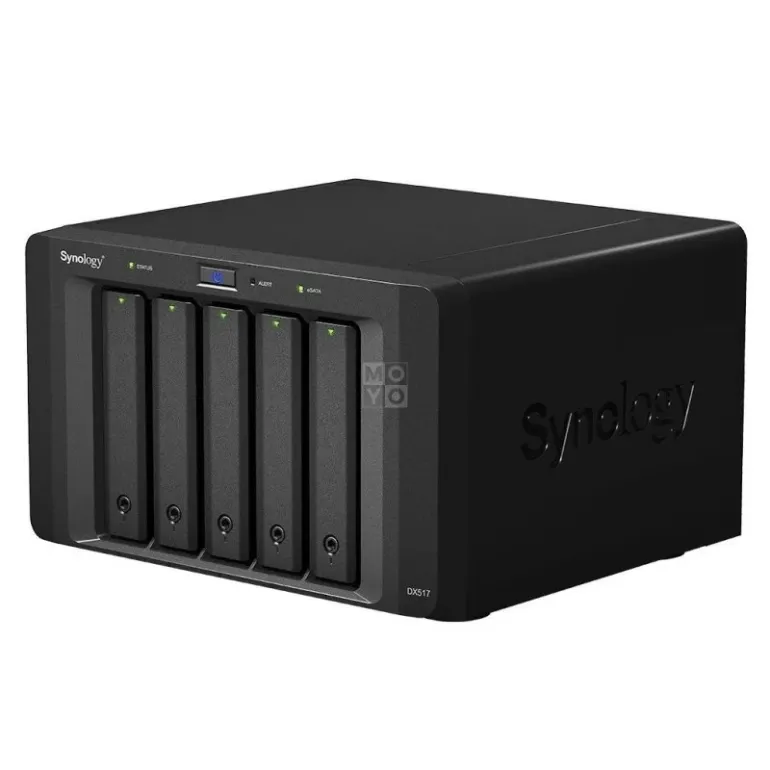 Network storage Synology DX517
