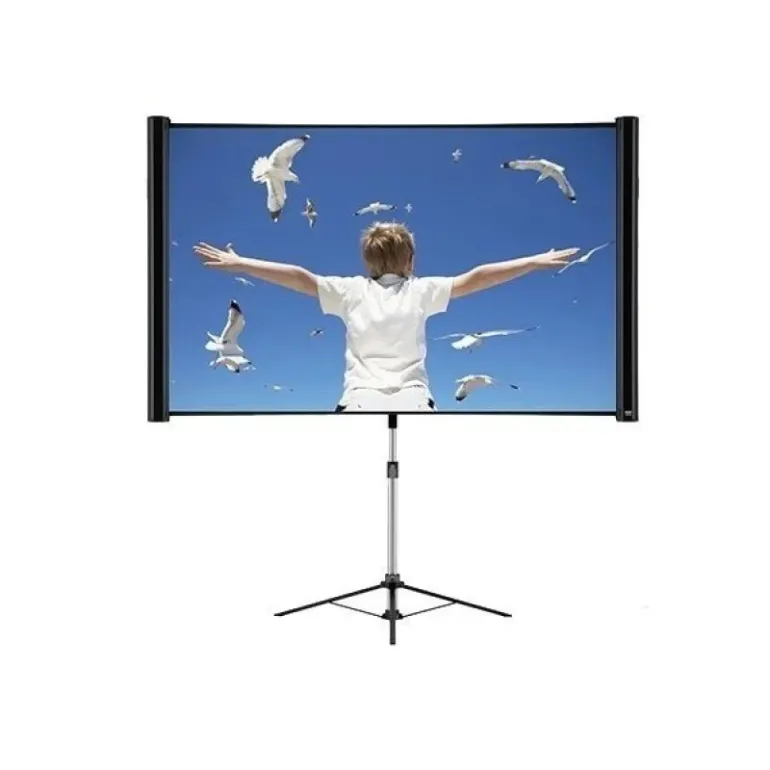 Projection screen EPSON ELPSC26